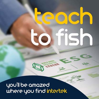 A person using an electronic tablet with sustainability-related content displayed